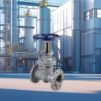 Rooj vag valve