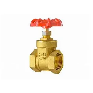 Dab tsi yog cov khoom tseem ceeb ntawm lub rooj vag valve?