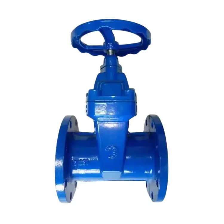 Zas Hlau Conloaled Pas Qws Mos Foob Flange Vag Valve