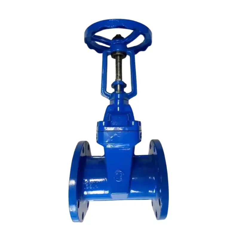Zas Cov Hlau Qhib Qhib Cov Khw Muag Foob Flative Gate Valve